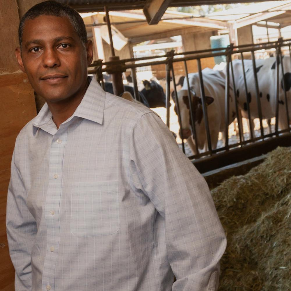 A dairy scientist poses in front of his cows at the UC Davis dairy